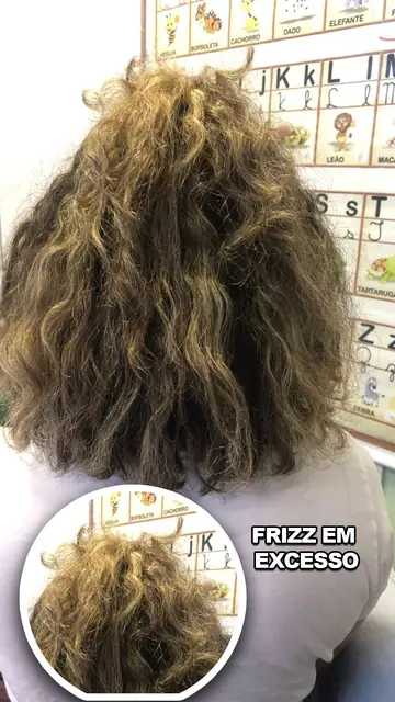 Cabelo com frizz